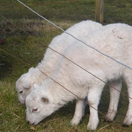 Gutshaus Tussen Schwerin En Wismar