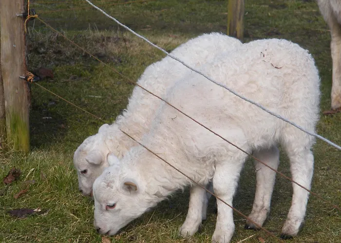 Gutshaus Tussen Schwerin En Wismar